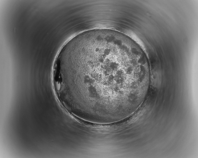 X0000094061096200710261220