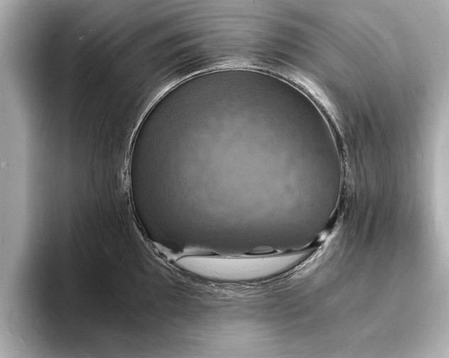 X0000094061097200710261220