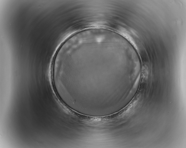 X0000094061098200710261220