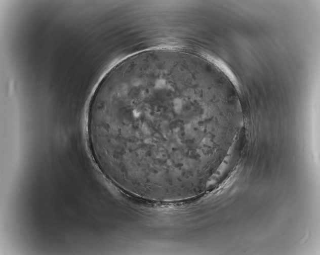 X0000094061099200710261220