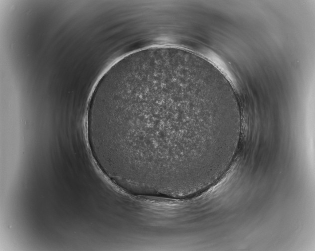 X0000094061100200710261220