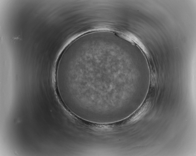 X0000094061101200710261220