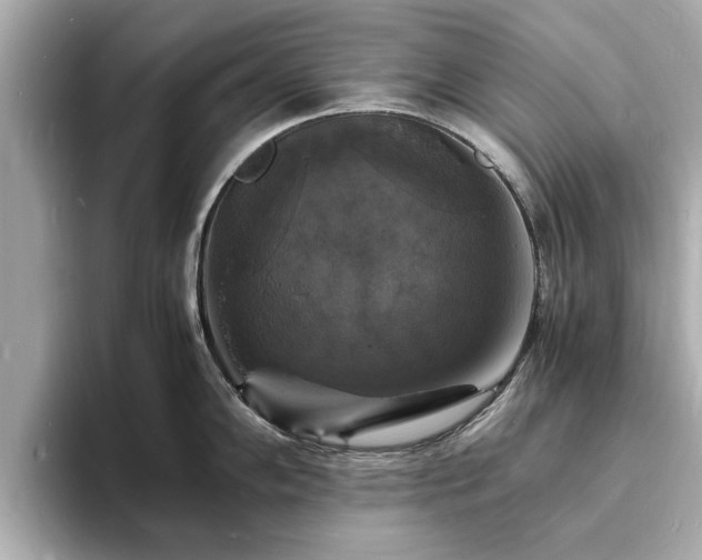 X0000094061102200710261220
