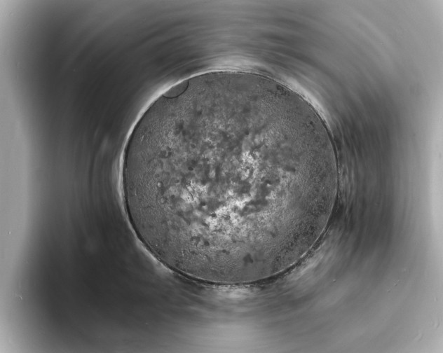 X0000094061103200710261220