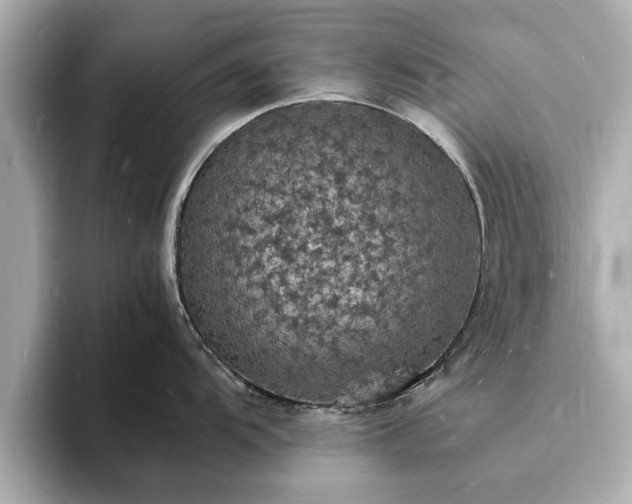 X0000094061104200710261220