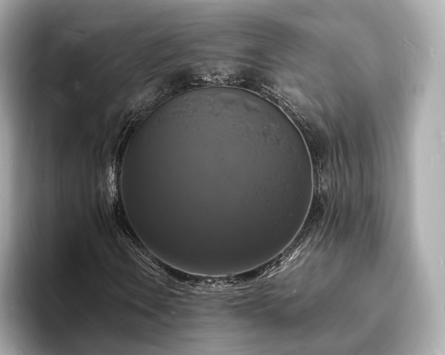 X0000094061106200710261219