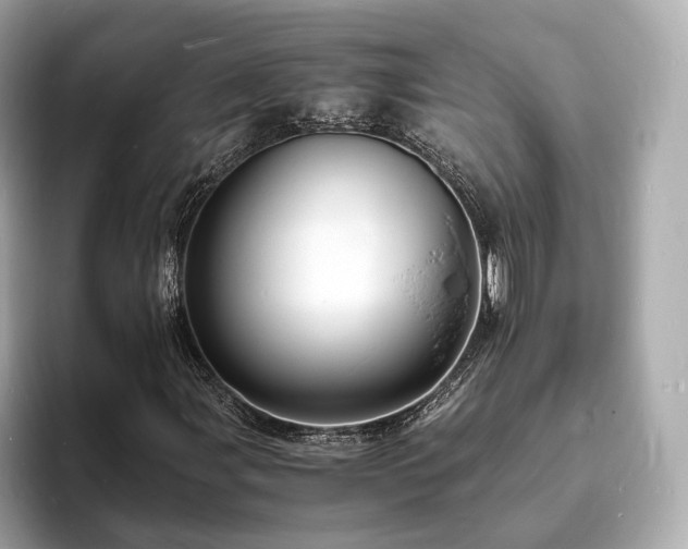 X0000094061107200710261219