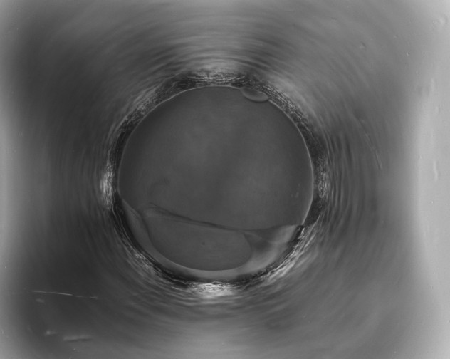 X0000094061108200710261219