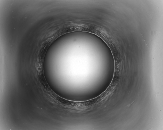 X0000094061109200710261219