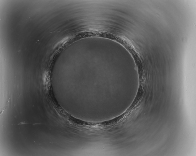X0000094061110200710261220