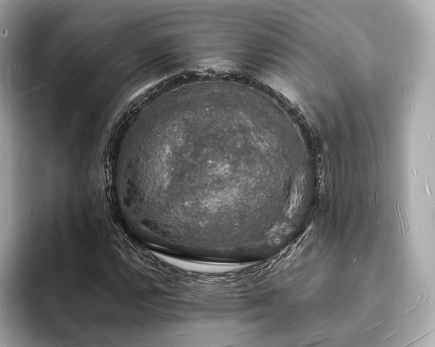 X0000094061112200710261220