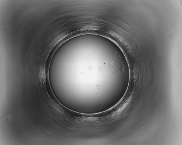 X0000094061113200710261220