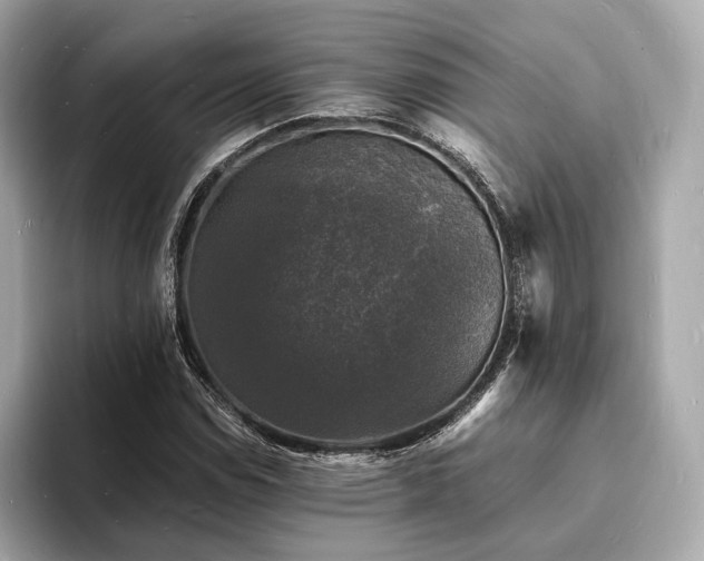 X0000094061114200710261220