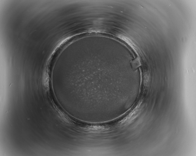 X0000094061115200710261220