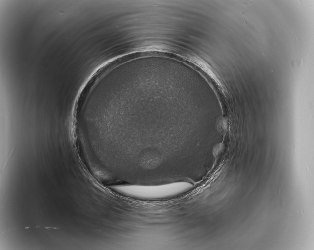X0000094061116200710261220