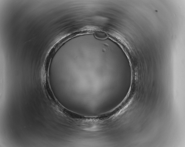 X0000094061117200710261220