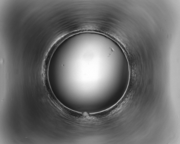X0000094061119200710261220