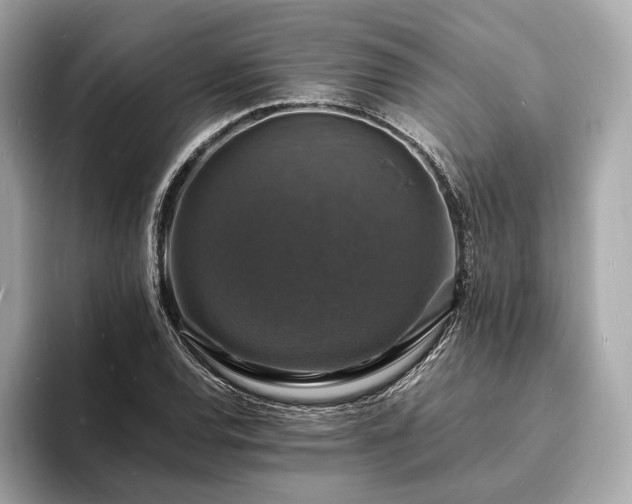 X0000094061120200710261220