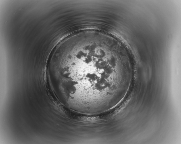 X0000094061121200710261220
