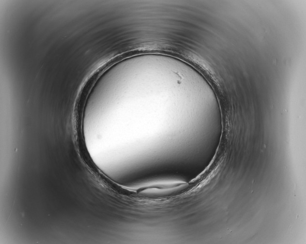 X0000094061122200710261220