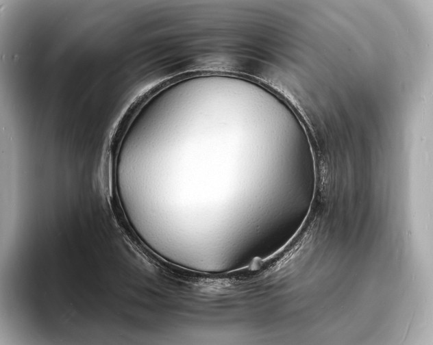 X0000094061123200710261220