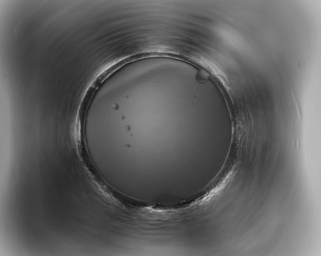 X0000094061125200710261220