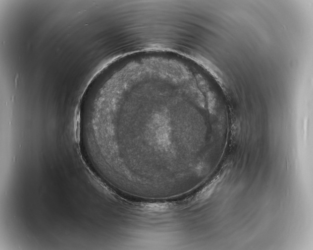 X0000094061126200710261220