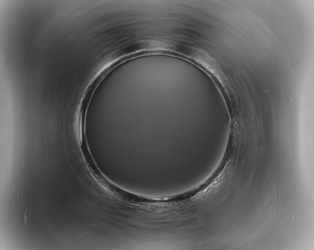 X0000094061127200710261220
