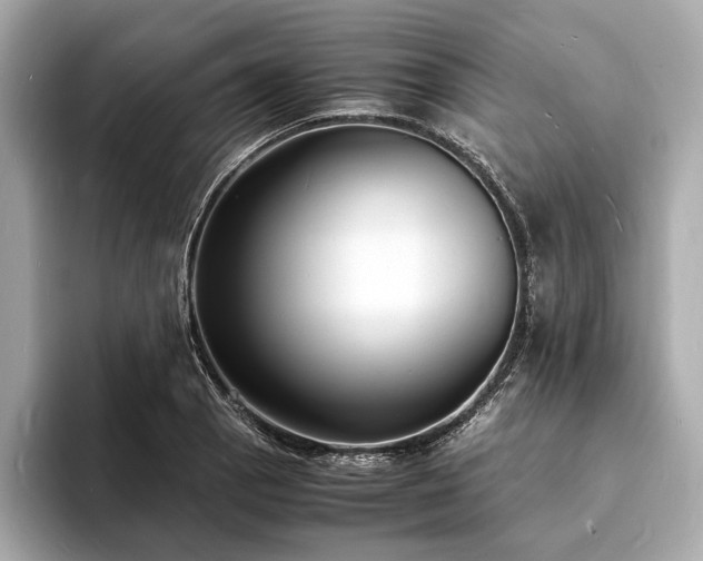 X0000094061129200710261220
