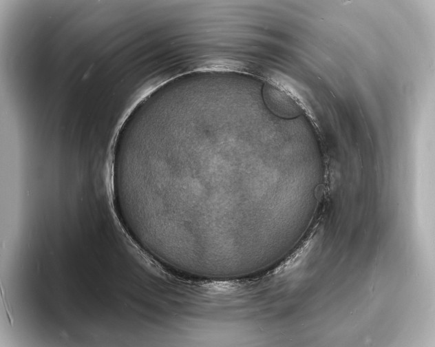 X0000094061130200710261220