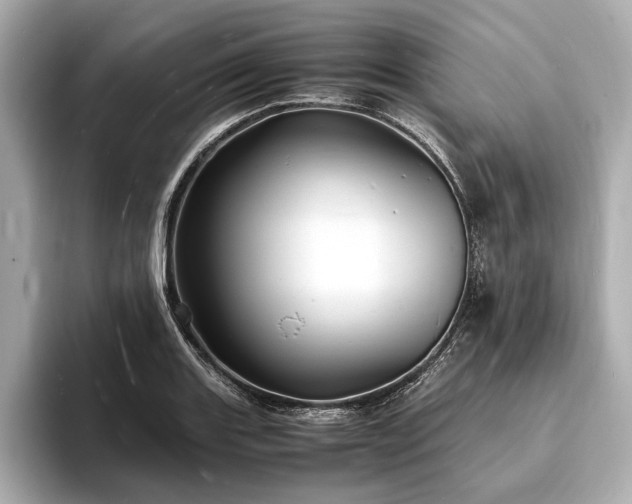 X0000094061131200710261220