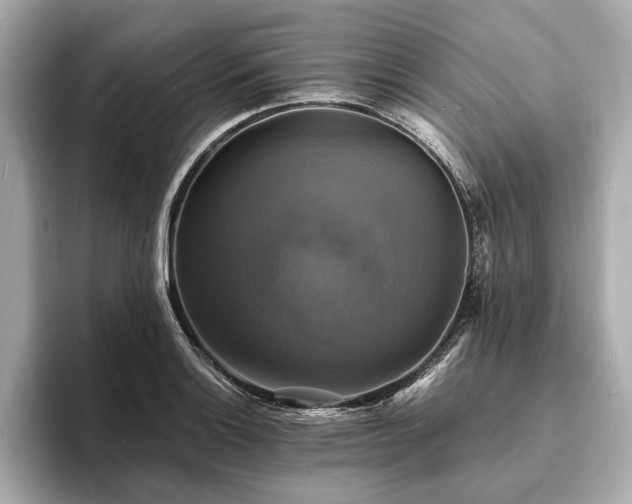 X0000094061132200710261220