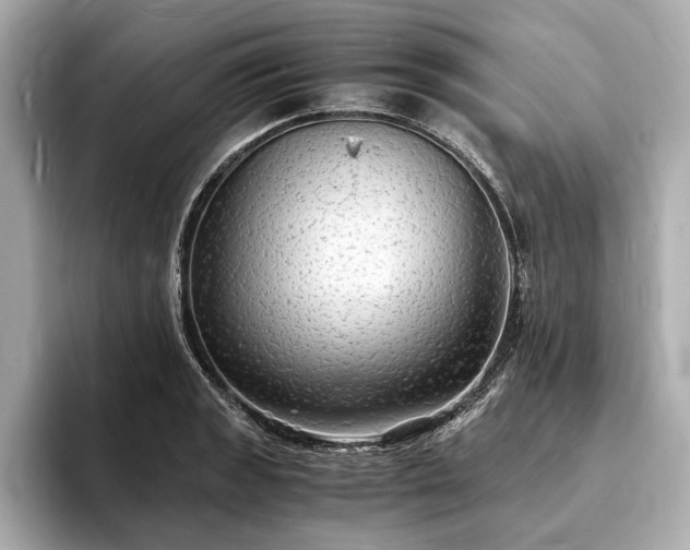 X0000094061133200710261220