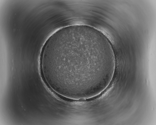 X0000094061134200710261220