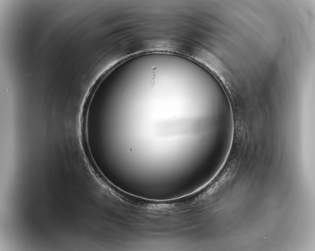 X0000094061135200710261220