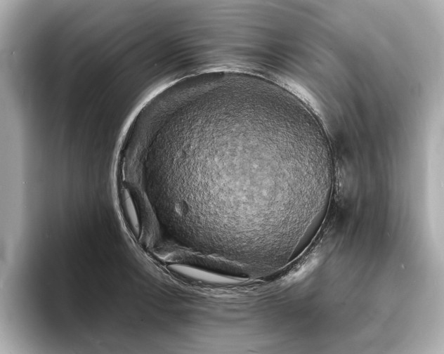 X0000094061138200710261220
