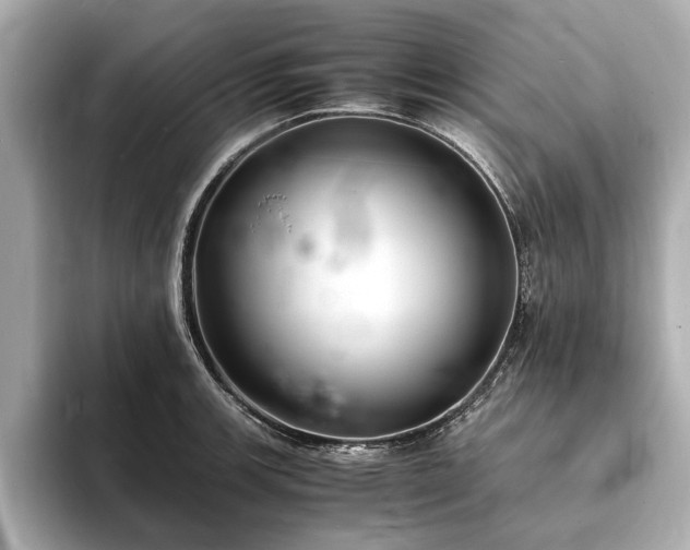X0000094061139200710261220