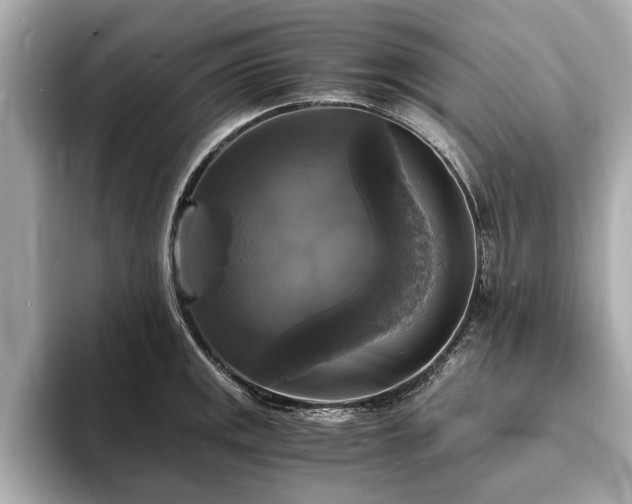 X0000094061141200710261220