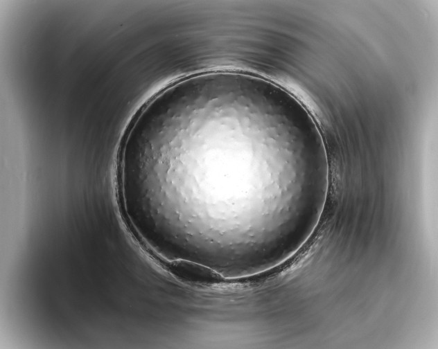 X0000094061142200710261220