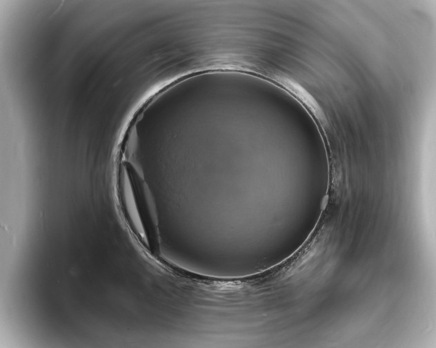 X0000094061144200710261220