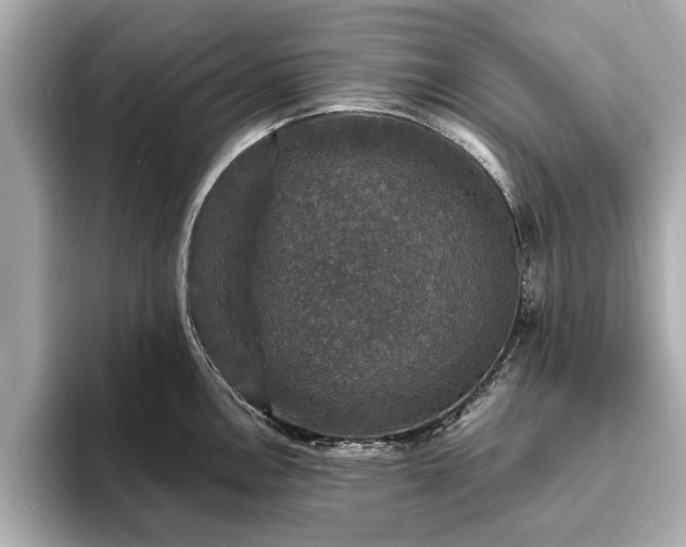 X0000094061146200710261220