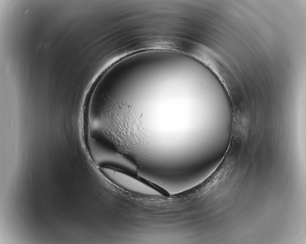 X0000094061147200710261220