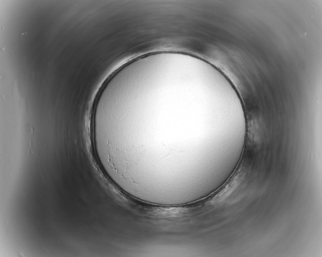 X0000094061150200710261220
