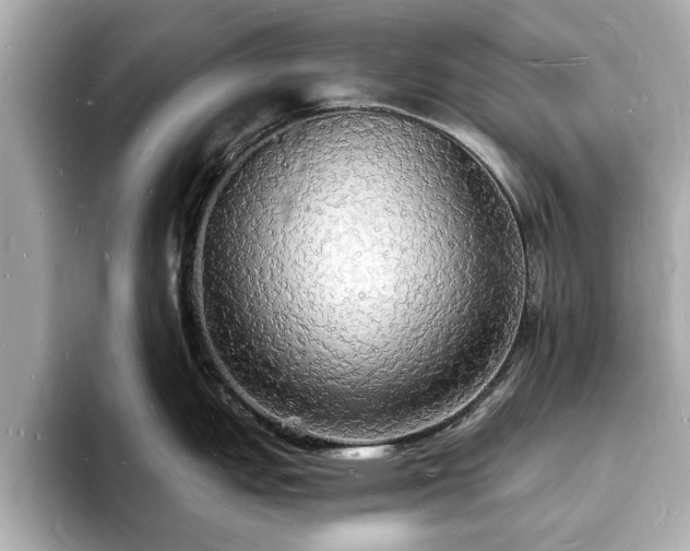 X0000094061151200710261220