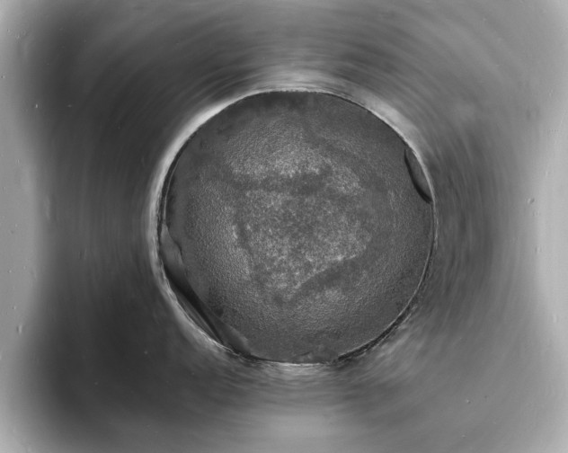 X0000094061152200710261220