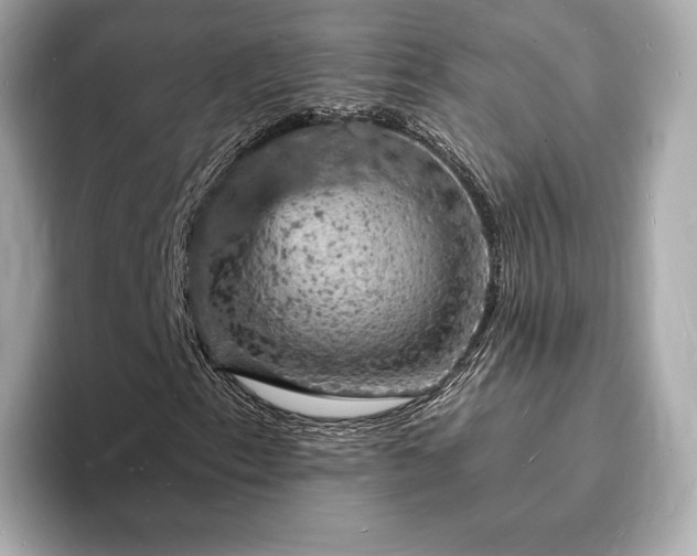 X0000094061153200710261219