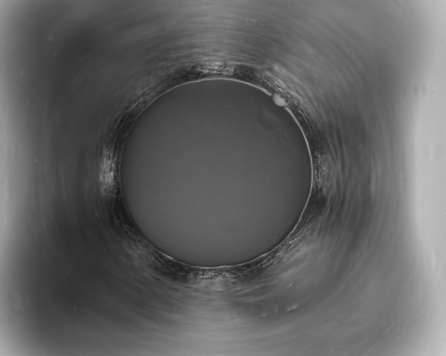X0000094061154200710261219