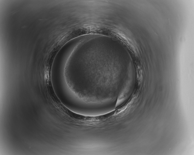 X0000094061155200710261219
