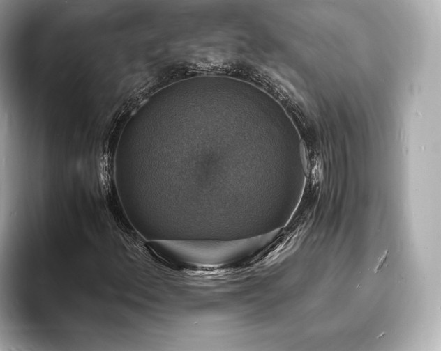X0000094061156200710261219