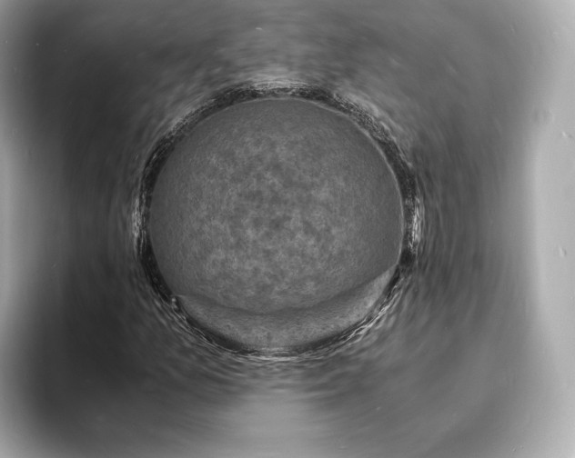 X0000094061157200710261219